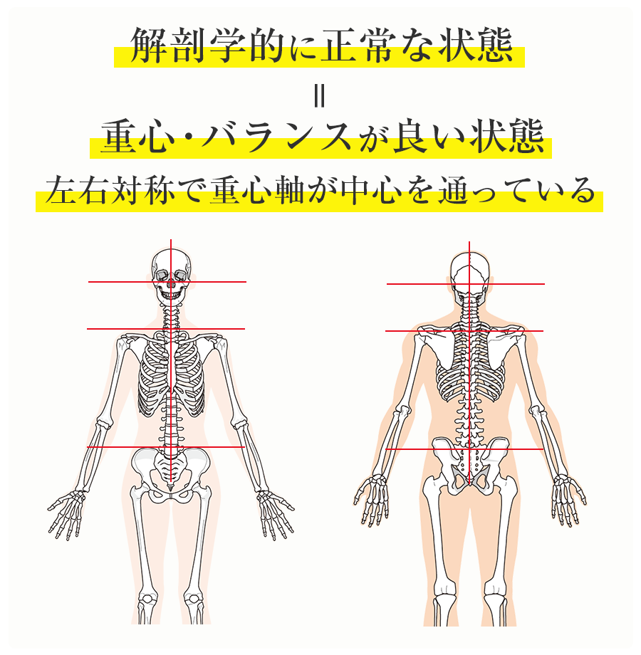 解剖学的に正常な状態＝重心・バランスが良い状態。左右対称で重心軸が中心を通っている。