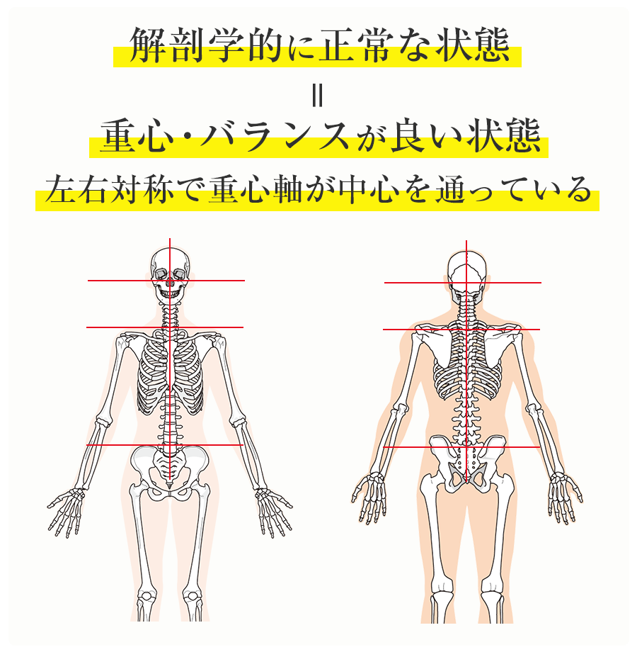 解剖学的に正常な状態=重心・バランスが良い状態。左右対称で重心軸が中心を通っている。